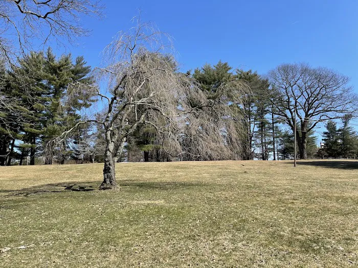 Hart’s Brook Park and Preserve Picture 1
