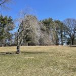 Hart’s Brook Park and Preserve