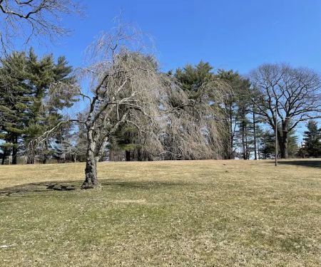 Hart’s Brook Park and Preserve