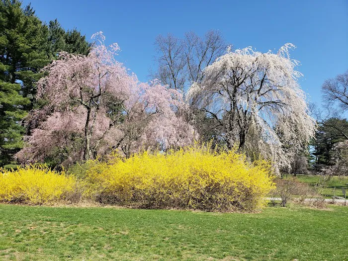 Hart’s Brook Park and Preserve Picture 10