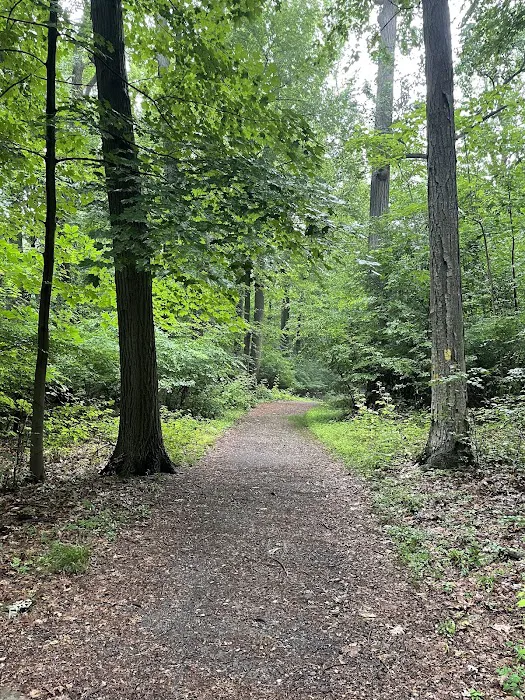 Hart’s Brook Park and Preserve Picture 9