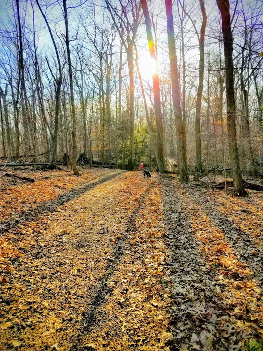 Hart’s Brook Park and Preserve Picture 4