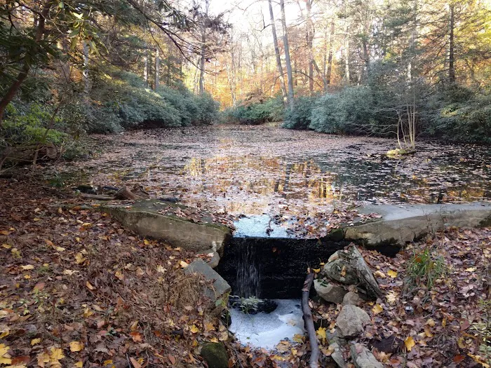 Hart’s Brook Park and Preserve Picture 3