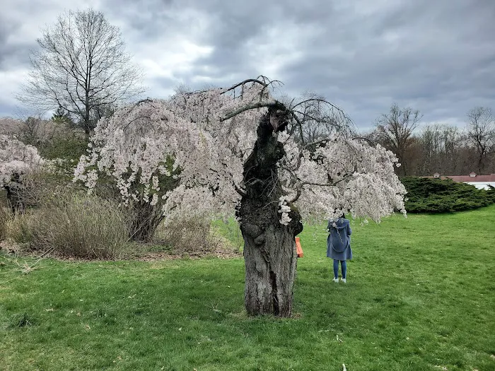 Hart’s Brook Park and Preserve Picture 6