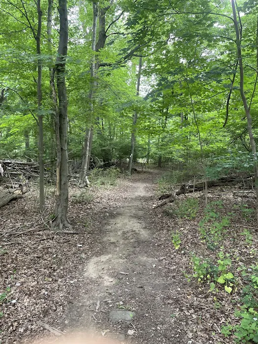 Ridge Road Park Picture 7