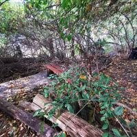 Halve Maan Garden ico