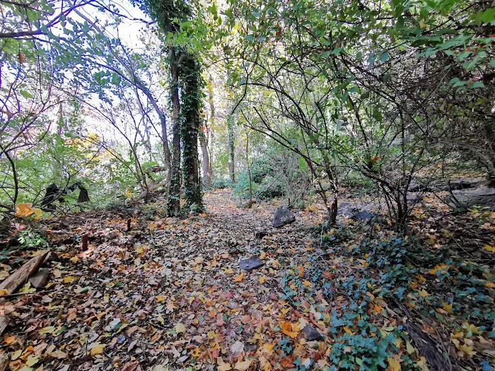 Halve Maan Garden Picture 10