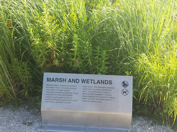 Muscota Marsh Picture 10