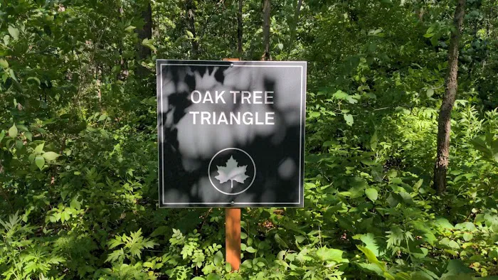 Oak Tree Triangle Picture 2