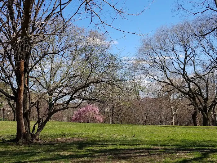 Isham Park Picture 1