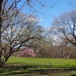 Isham Park