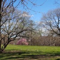 Isham Park ico