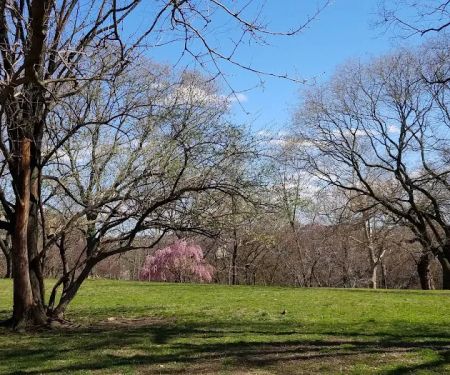 Isham Park