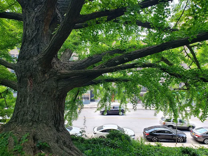 Isham Park Picture 10