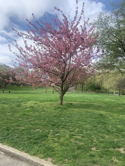Isham Park Picture 6