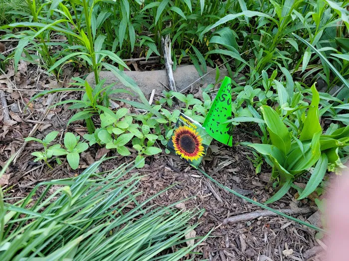 Isham Park Monarch Waystation and Pollinator Garden Picture 10