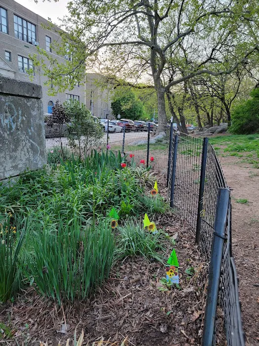Isham Park Monarch Waystation and Pollinator Garden Picture 4