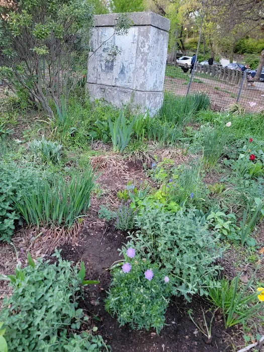 Isham Park Monarch Waystation and Pollinator Garden Picture 3