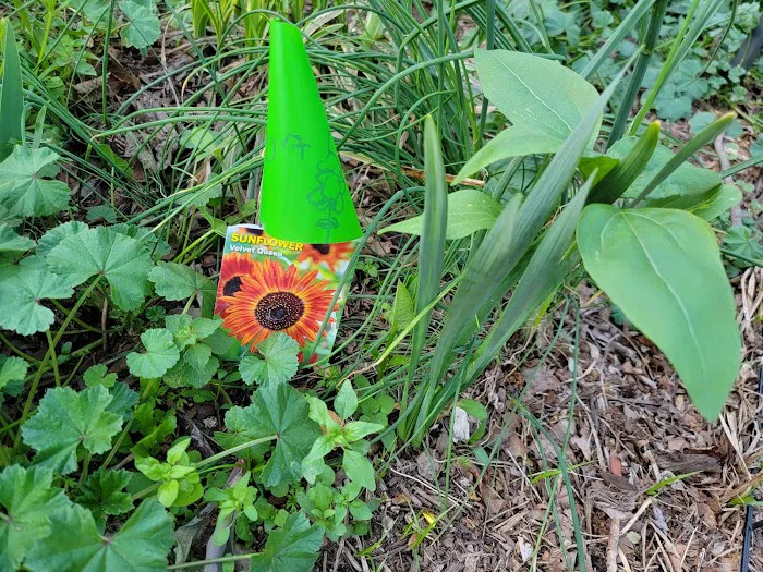 Isham Park Monarch Waystation and Pollinator Garden Picture 9