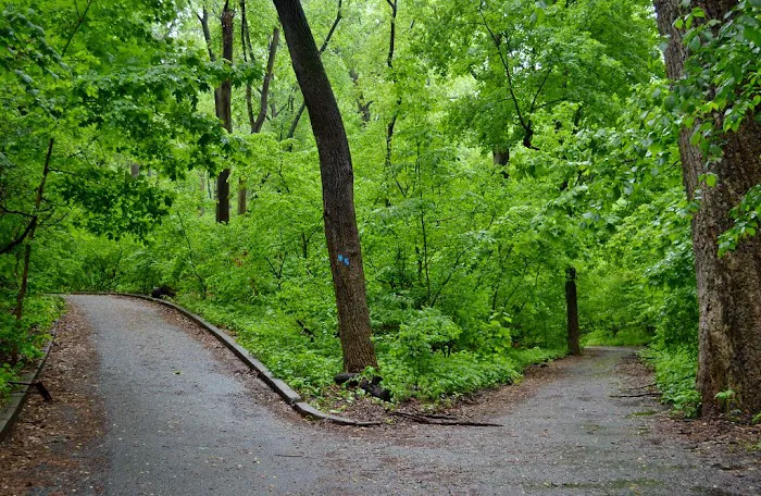 Annual Friends of IHP Earth Day Festival Picture 1