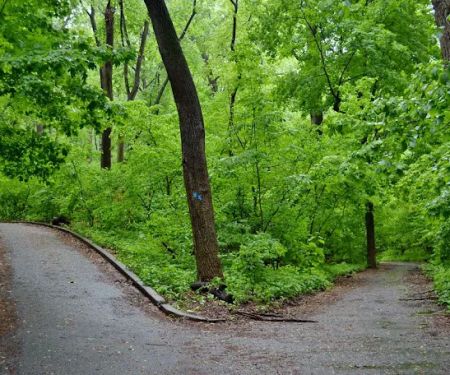 Annual Friends of IHP Earth Day Festival