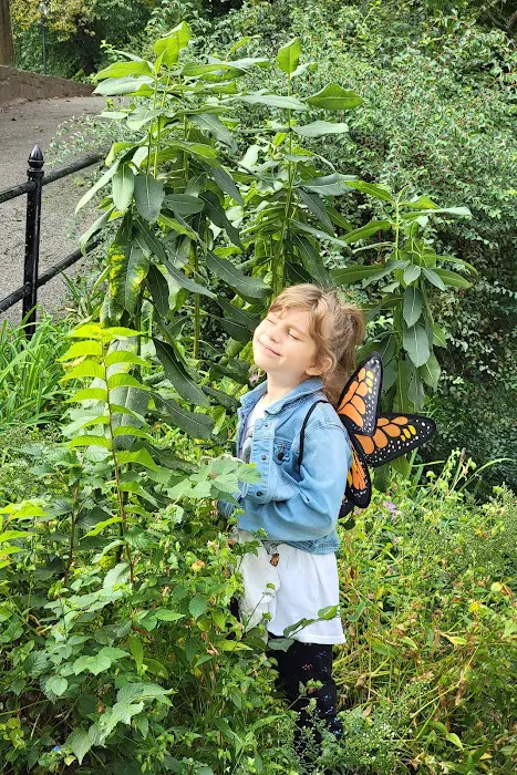 Inwood Butterfly Sanctuary Picture 3