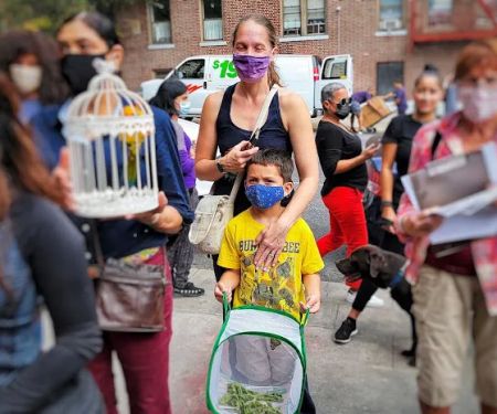Inwood Butterfly Sanctuary