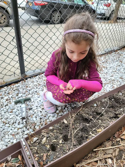 Inwood Butterfly Sanctuary Picture 9
