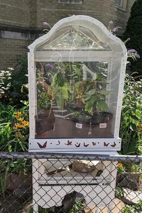 Inwood Butterfly Sanctuary Picture 8