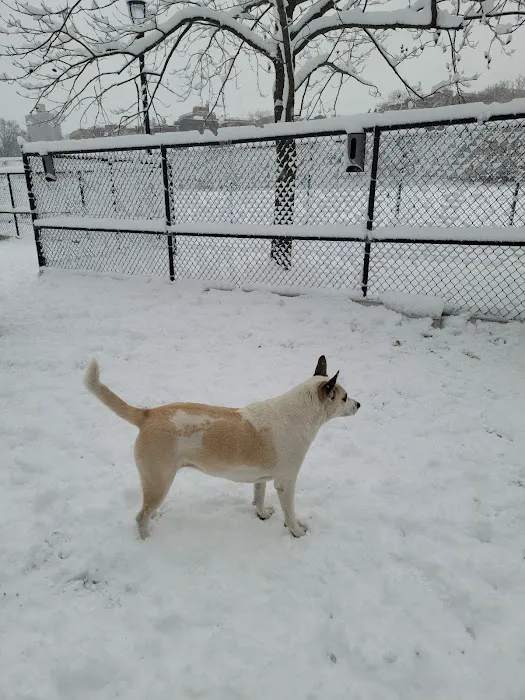 Homer's Run Picture 2