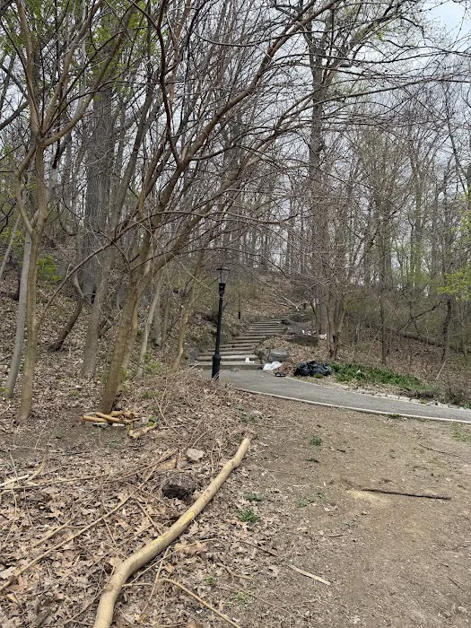 Inwood field 3 Picture 7