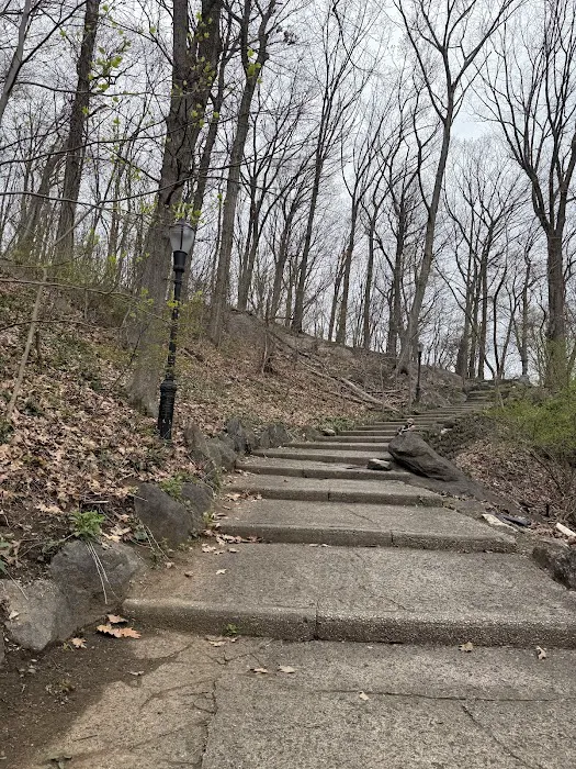 Inwood field 3 Picture 2