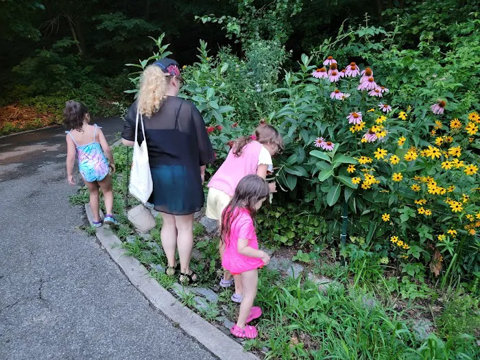 Pollinator Garden and Monarch Waystation Picture 8