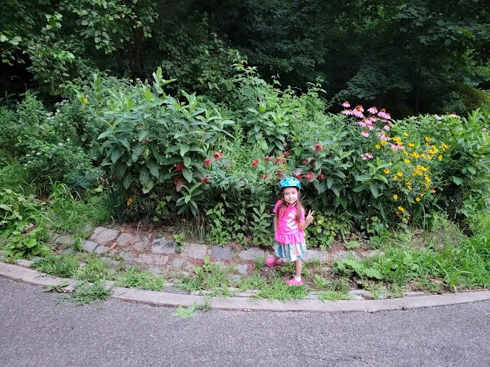 Pollinator Garden and Monarch Waystation Picture 4