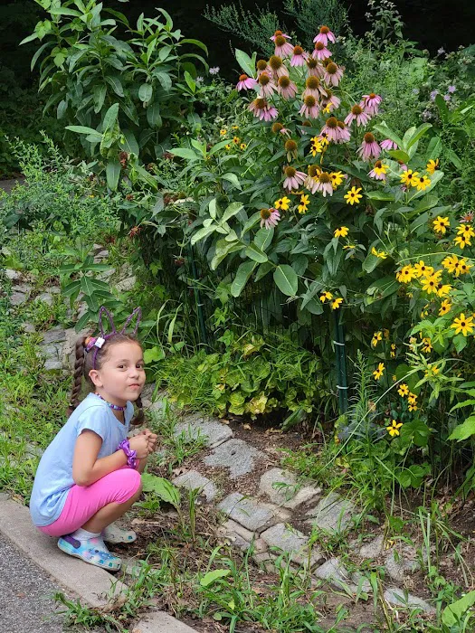 Pollinator Garden and Monarch Waystation Picture 10