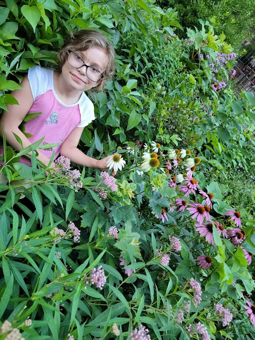 Pollinator Garden and Monarch Waystation Picture 6