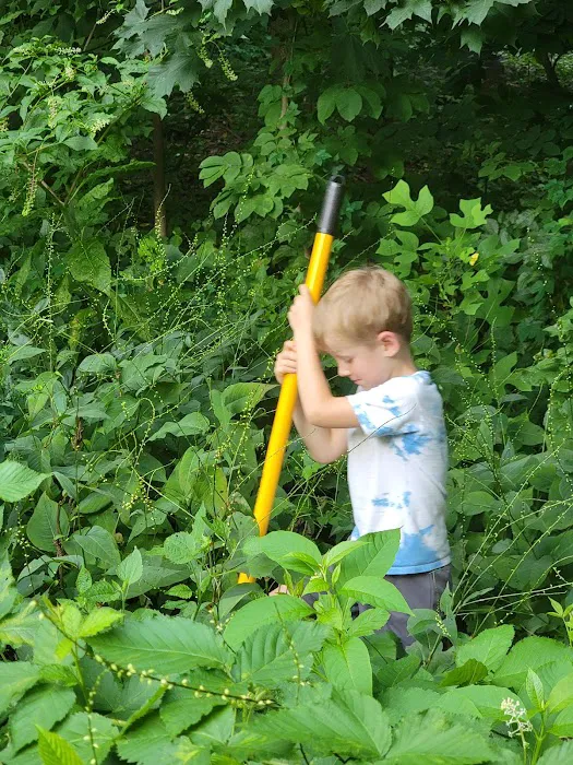 Pollinator Garden and Monarch Waystation Picture 3