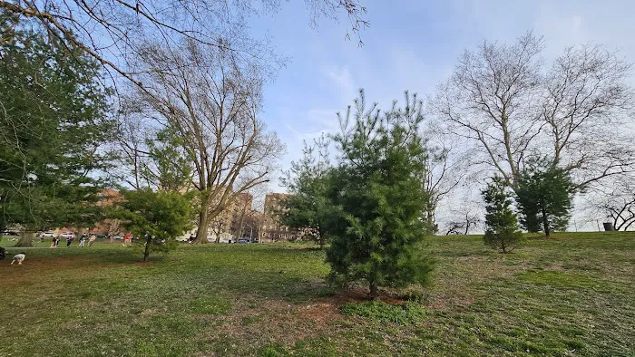 Tree of Peace Garden Picture 1