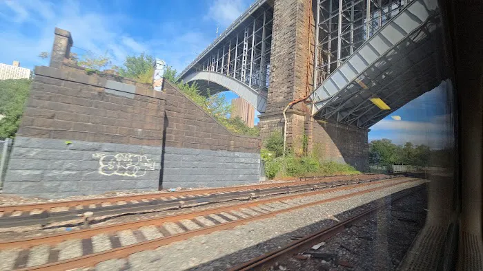 Bridge Park Picture 5