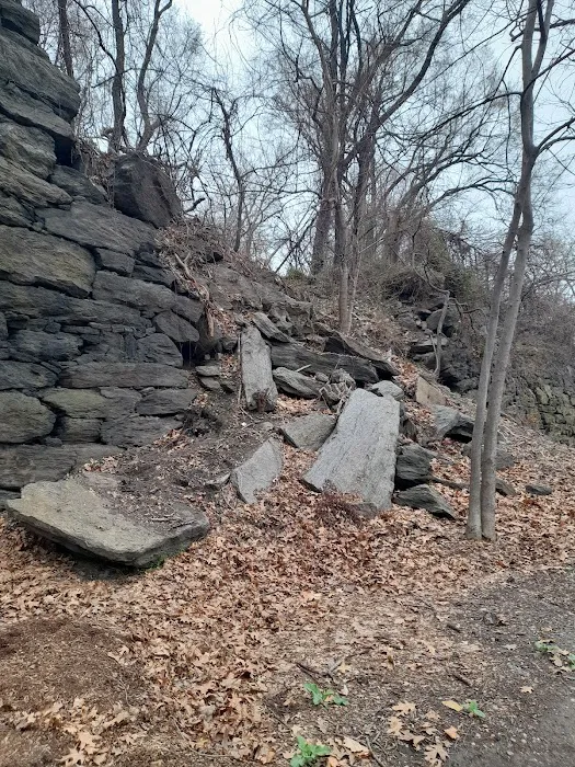 High Bridge Park Long Stairs Picture 8
