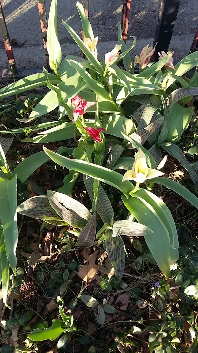 Inwood Park Picture 7