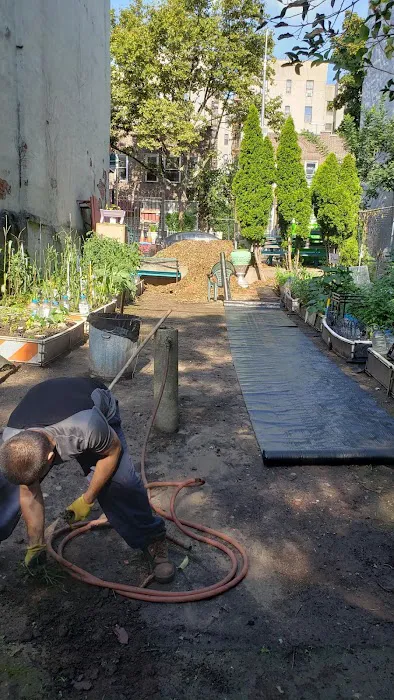 Little Paradise Community Garden Picture 4