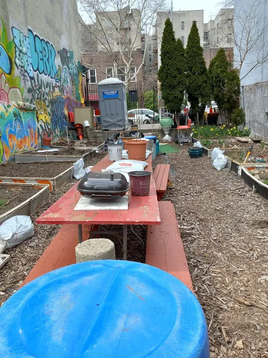 Little Paradise Community Garden Picture 9