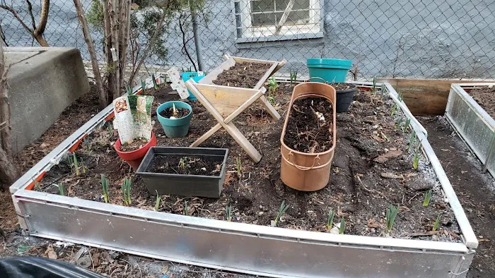 Little Paradise Community Garden Picture 6