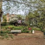 María Sola Community Greenspace