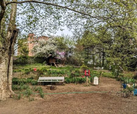 María Sola Community Greenspace