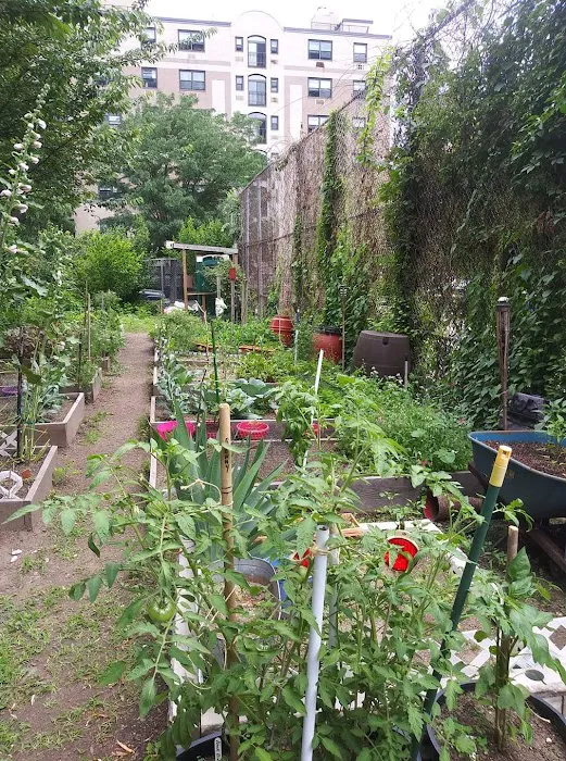 Diamante Garden Picture 8