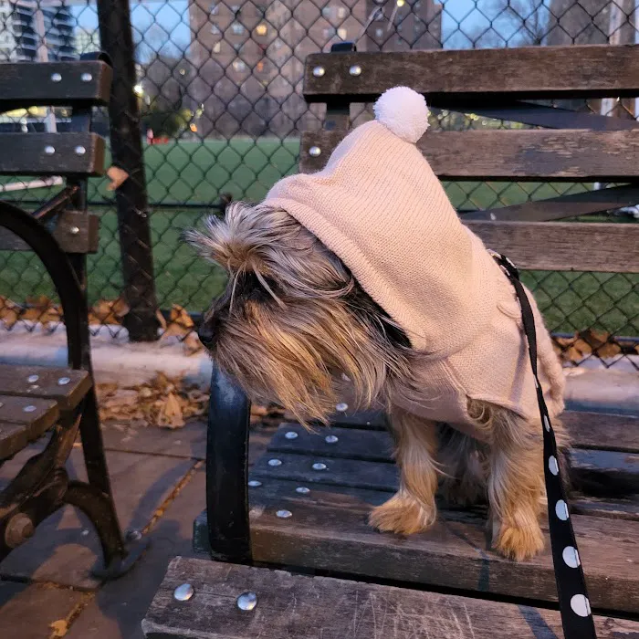 Wagner Playground Picture 4