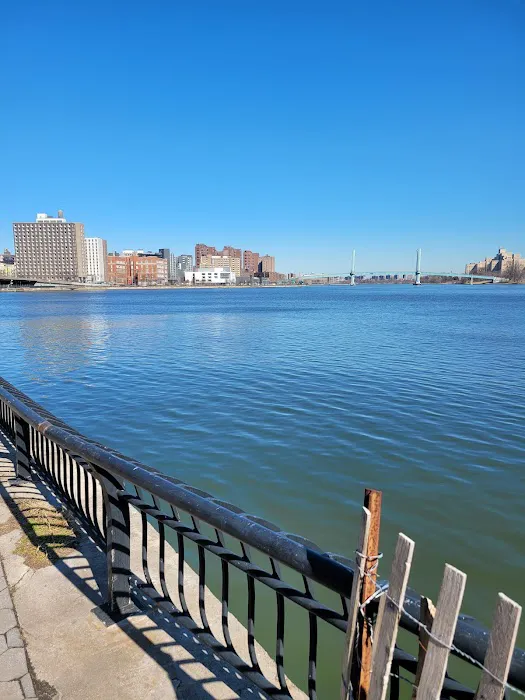 East River Esplanade Picture 9