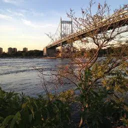 Triborough Bridge Playground C Picture 7